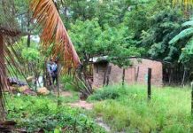 Masacre en Comayagua, Honduras deja a cinco personas muertas Masacre en Comayagua, Honduras deja a cinco personas muertas