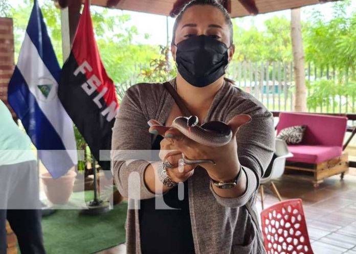 MEFCCA Invita a la Feria Nacional de Nicaragua Exótica