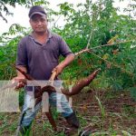 Fincas diversificadas en Río San Juan