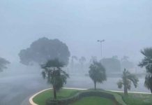 «Estén preparados»: Emiten aviso de tormenta tropical para Florida por Fred Emiten aviso de tormenta tropical para Florida por Fred / FOTO / El Nuevo Herald