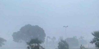 Emiten aviso de tormenta tropical para Florida por Fred / FOTO / El Nuevo Herald