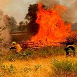 Miles de personas evacuadas al sur de Francia por incendio forestales Bomberos luchan con un incendio forestal