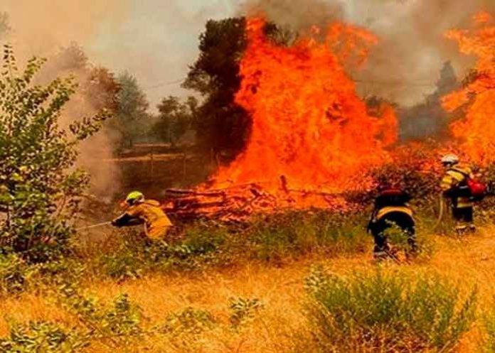 francia1 Bomberos luchan con un incendio forestal