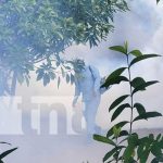 Fumigación para eliminar el zancudo en Managua