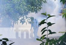Brigadistas del MINSA eliminan el zancudo en barrio Cruz del Paraíso Fumigación para eliminar el zancudo en Managua