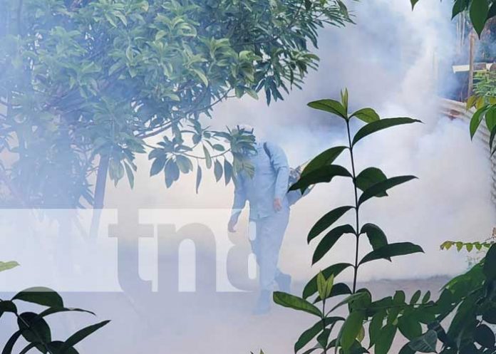 Fumigación para eliminar el zancudo en Managua