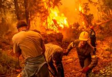 Isla de Eubea en Grecia continúa ardiendo por los incendios forestales