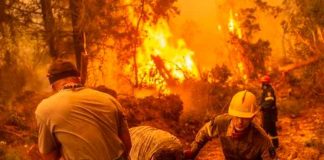Isla de Eubea en Grecia continúa ardiendo por los incendios forestales