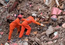 personal en busca de fallecidos tras el terremoto en Haití