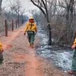 Paraguay: bomberos trabajan arduamente para controlar incendios