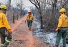 Paraguay: bomberos trabajan arduamente para controlar incendios