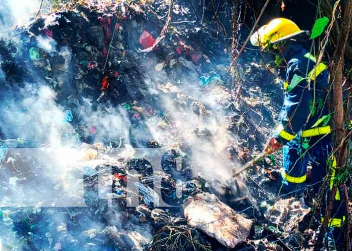 Bomberos hicieron la lucha contra las inclementes llamas del incendio