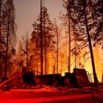 Incendio forestal en California