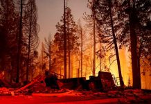 Incendio forestal en California