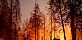 Incendio forestal en California