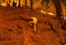 Dixie se convierte en el mayor incendio forestal activo en EE.UU. Foto: Dixie se convierte en el mayor incendio forestal activo en EE.UU. / Reuters