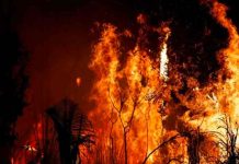 287 grandes incendios acaban poco a poco con la Amazonía en 2021 287 grandes incendios acaban poco a poco con la Amazonía en 2021