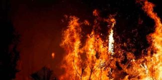 287 grandes incendios acaban poco a poco con la Amazonía en 2021