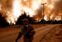 Al menos 90 muertos en incendios en Argelia