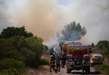Bomberos luchan contra los incendios en Francia
