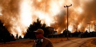 Al menos 90 muertos en incendios en Argelia
