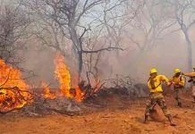 Incendios forestales arrasan con 600.000 hectáreas en ciudad de Bolivia