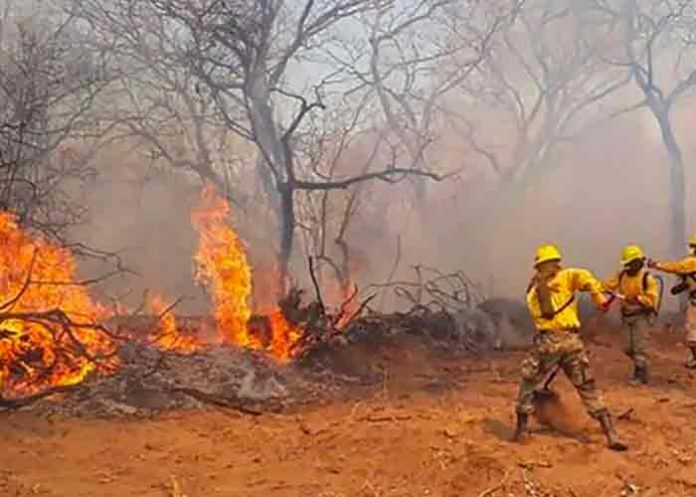 Incendios forestales arrasan con 600.000 hectáreas en ciudad de Bolivia