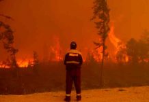 Siberia declara emergencia interregional por incendios forestales