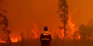 Siberia declara emergencia interregional por incendios forestales