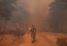 Así se ven los infernales incendios en Turquía desde el espacio Un bomberos en los incendios en Turquía / FOTO / AFP