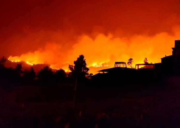 Grecia registra el primer muerto por los graves incendios