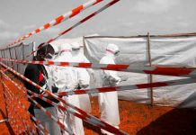 Mortal virus de Marburgo contagia a 150 personas en dos días en Guinea