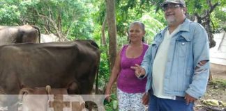 Resultados positivos en estrategia de inseminación artificial para Granada