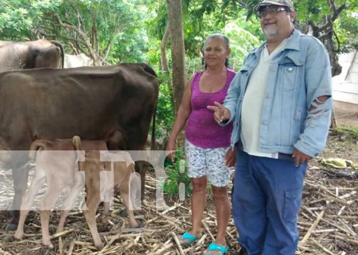 Resultados positivos en estrategia de inseminación artificial para Granada