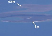 Isla formada por erupción de Fukutoku-Okanoba