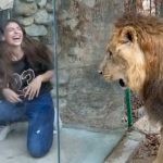 Se burlan de León en zoológico del Líbano Chicas burlándose de León en zoológico del Líbano