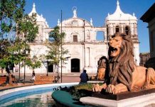 «León, Arte y Moda» Plataforma que promoverá el talento local “León, Arte y Moda " Plataforma que promoverá el talento local