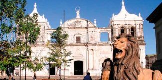 “León, Arte y Moda " Plataforma que promoverá el talento local