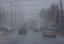 Bandas de lluvia y vientos por tormenta tropical Fred afectan a Puerto Rico Carros transitan hoy por la Carretera 2 en plenas lluvias y entre la alerta por la posible tormenta tropical Fred, en Vega Alta / EFE/ Thais Llorca /