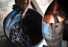 Los Zetas desmembraron y cocinaron a su hermano en México Los Zetas desmembraron y cocinaron a su hermano en México