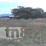 Seis familias reciben lotes de terrenos en Ocotal Foto: Seis familias reciben lotes de terrenos en Ocotal / TN8