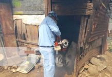 Salud para Managua: Casi 1 mil viviendas fumigadas en barrio Javier Cuadra Trabajo de brigadistas de salud con la fumigación en barrios de Managua