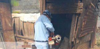Trabajo de brigadistas de salud con la fumigación en barrios de Managua