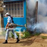 Jornada de fumigación en Managua para eliminar zancudos