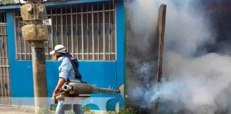 Jornada de fumigación en Managua para eliminar zancudos