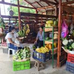 Moderno Mercadito Campesino en Managua con amplia variedad y buenos precios Mercadito Campesino ubicado en Las Colinas, Managua