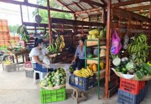 Moderno Mercadito Campesino en Managua con amplia variedad y buenos precios Mercadito Campesino ubicado en Las Colinas, Managua