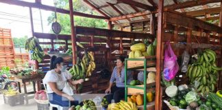 Mercadito Campesino ubicado en Las Colinas, Managua