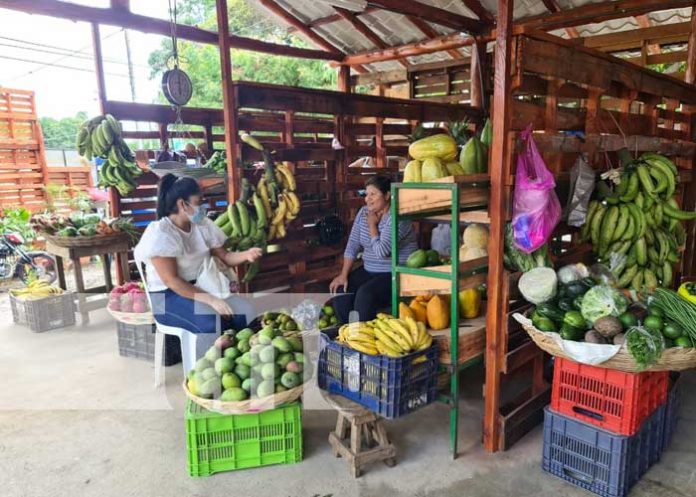Mercadito Campesino ubicado en Las Colinas, Managua