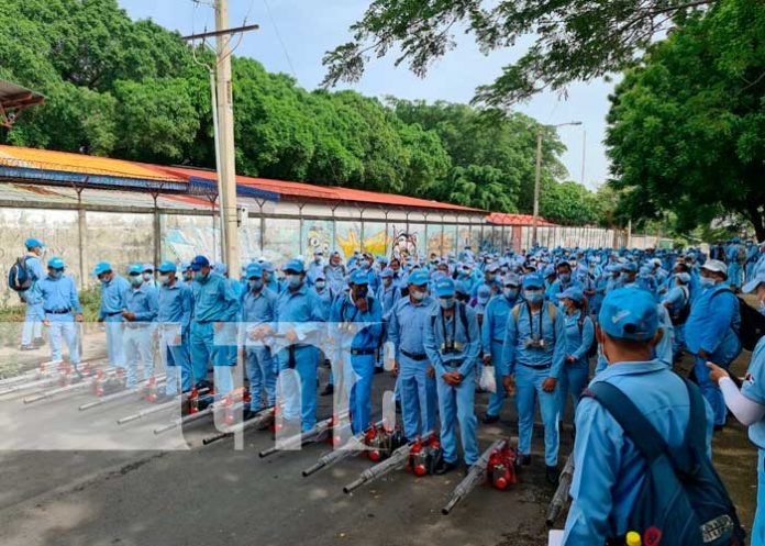 El MINSA celebra el Día Internacional contra el Dengue